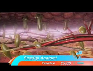 Sıra dışı hastalığı olan insanların mücadeleleri