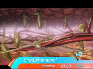 Sıradışı hastalıkları olan insanların yaşamları ve mücadeleleri