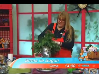 Sırma İle Bugün, 6 Nisan Cuma 14.00'te TRT Okul'da
