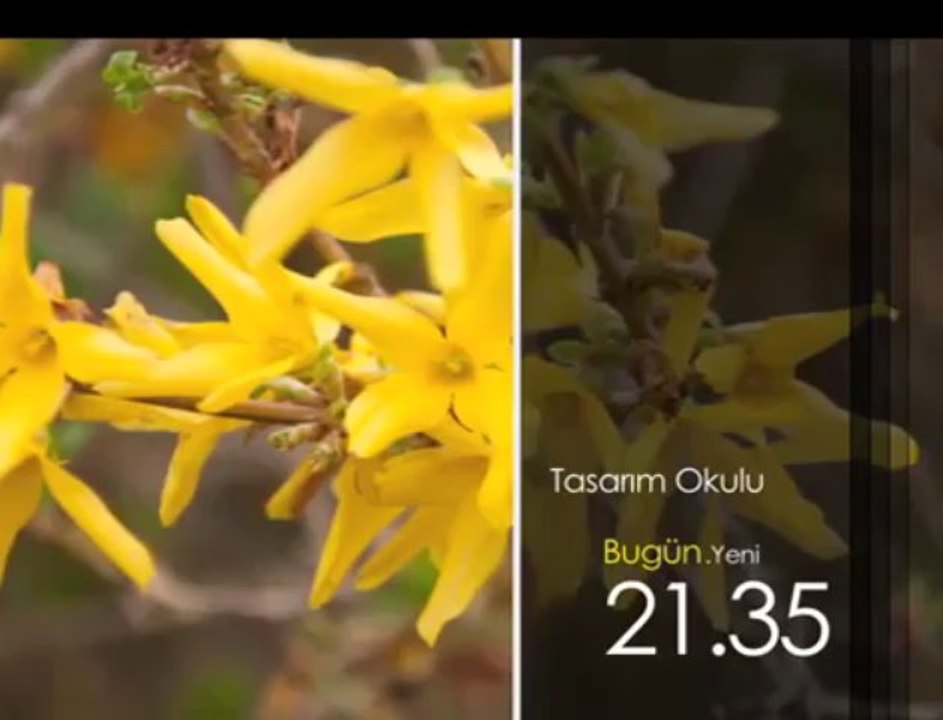 Tasarım Okulu, 26 Nisan Cuma 21.35'te TRT Okul'da