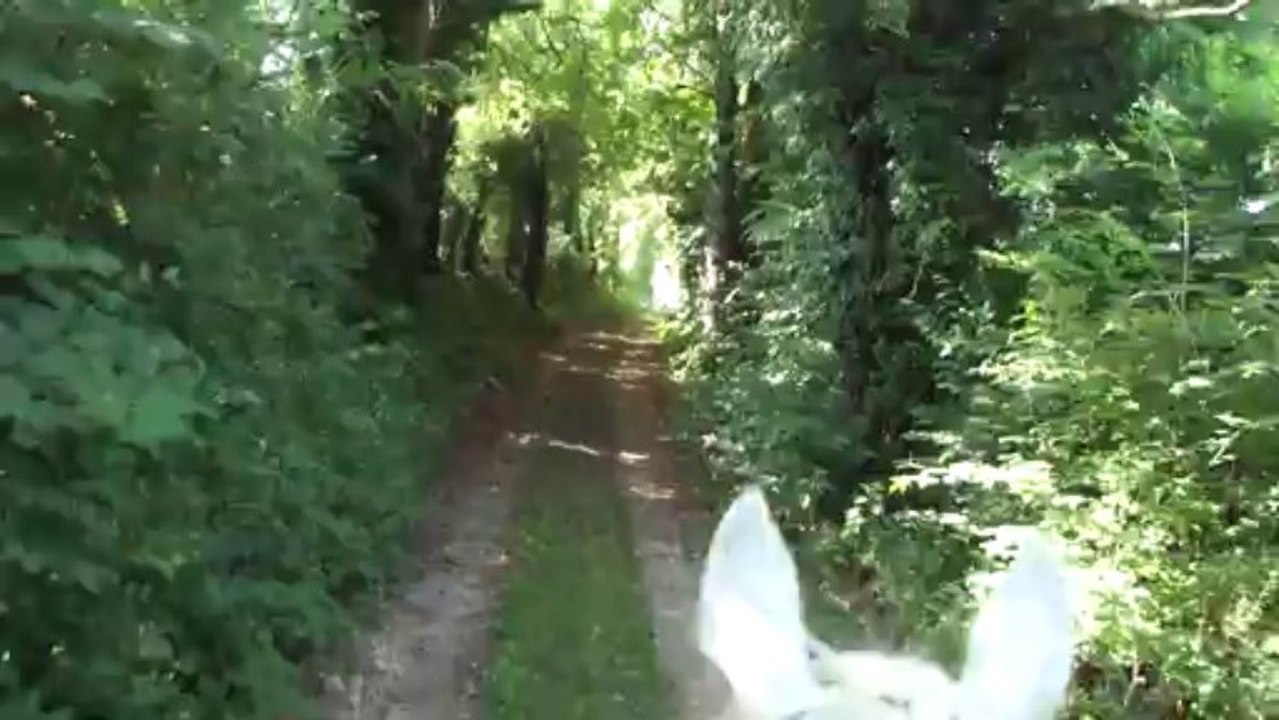 Balade avec Mona