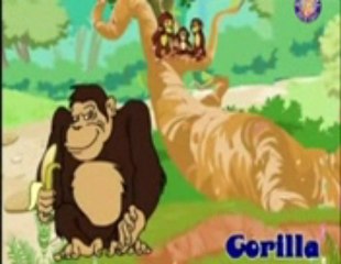 Animals 3_ KID'S EDUCATION  ....   by  Aslam Nasir