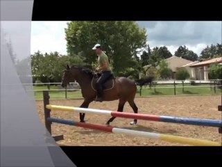 NYATAPOLA Anglo Arabe par David de la Brunie