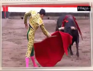 2013-08-19-Enrique Ponce-El Juli-Talavante-Ganad Carcigrande y Domingo Hernandez