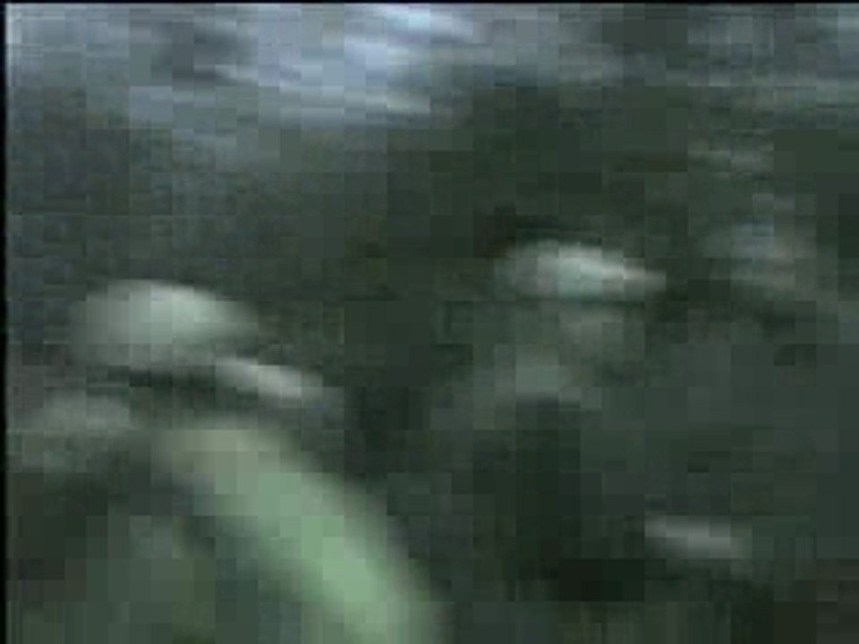 NUIT DES MEUTES free oblyk dfroké