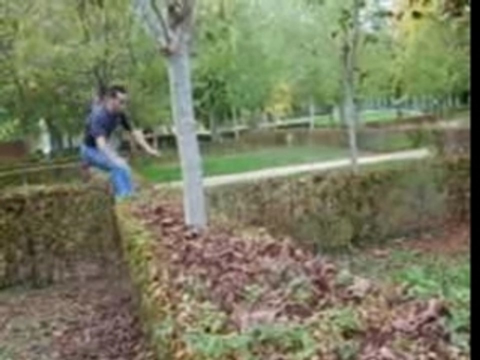 Les Abrutis de la Gym III