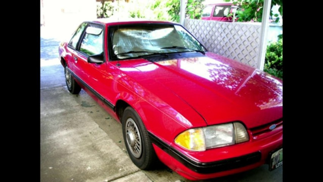 DOLLAR TREE WINDSHIELD SHADES FOR ALL YOUR CAR WINDOWS video Dailymotion