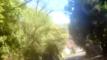 Scooter Road Rage