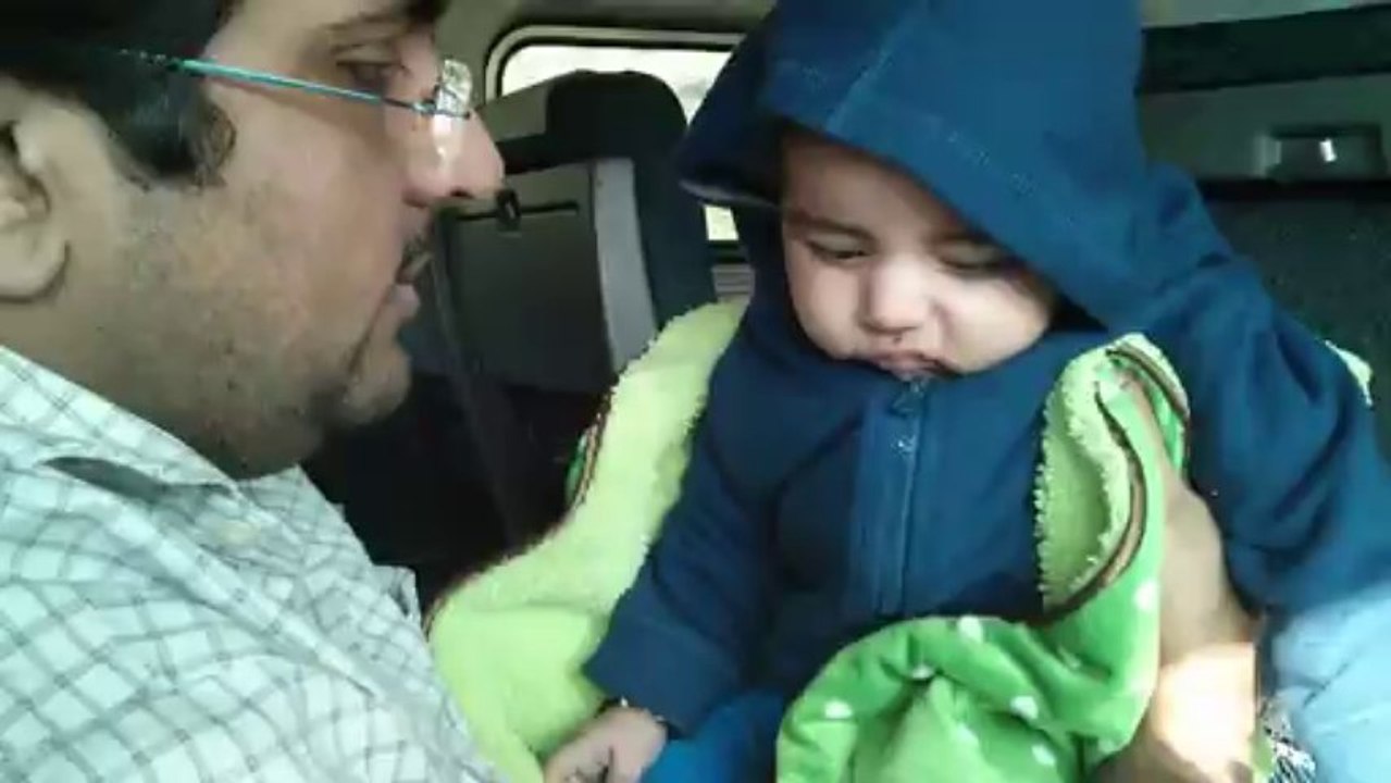 Aslan in Train