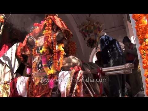 The chariot of Goddess Ganga: At Gangotri Temple