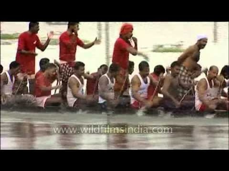 The Largest Team Sport -- Snake Boat Race
