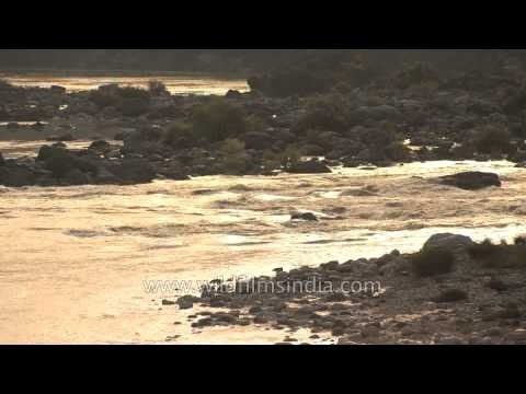 Rishikesh Ganga evening time, with rafters: Time lapse