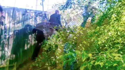 пиано чоколате -2013-04- забытые тени