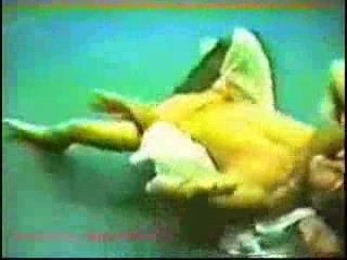 jiu-jitsu vs kung-fu