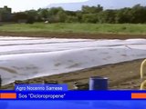 Agro Nocerino Sarnese - SOS Dicloropropene (19.08.13)