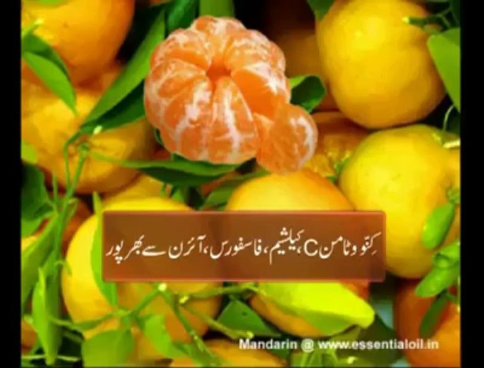 پاکستان دنیا میں کینو کی ایکسپورٹ کا بے تاج بادشاه هے