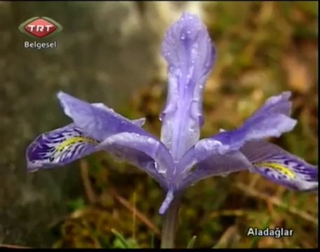 Aladağlar 1.bölüm TRT Belgesel