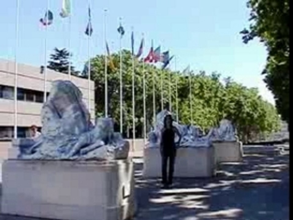 AVIVA film(1)