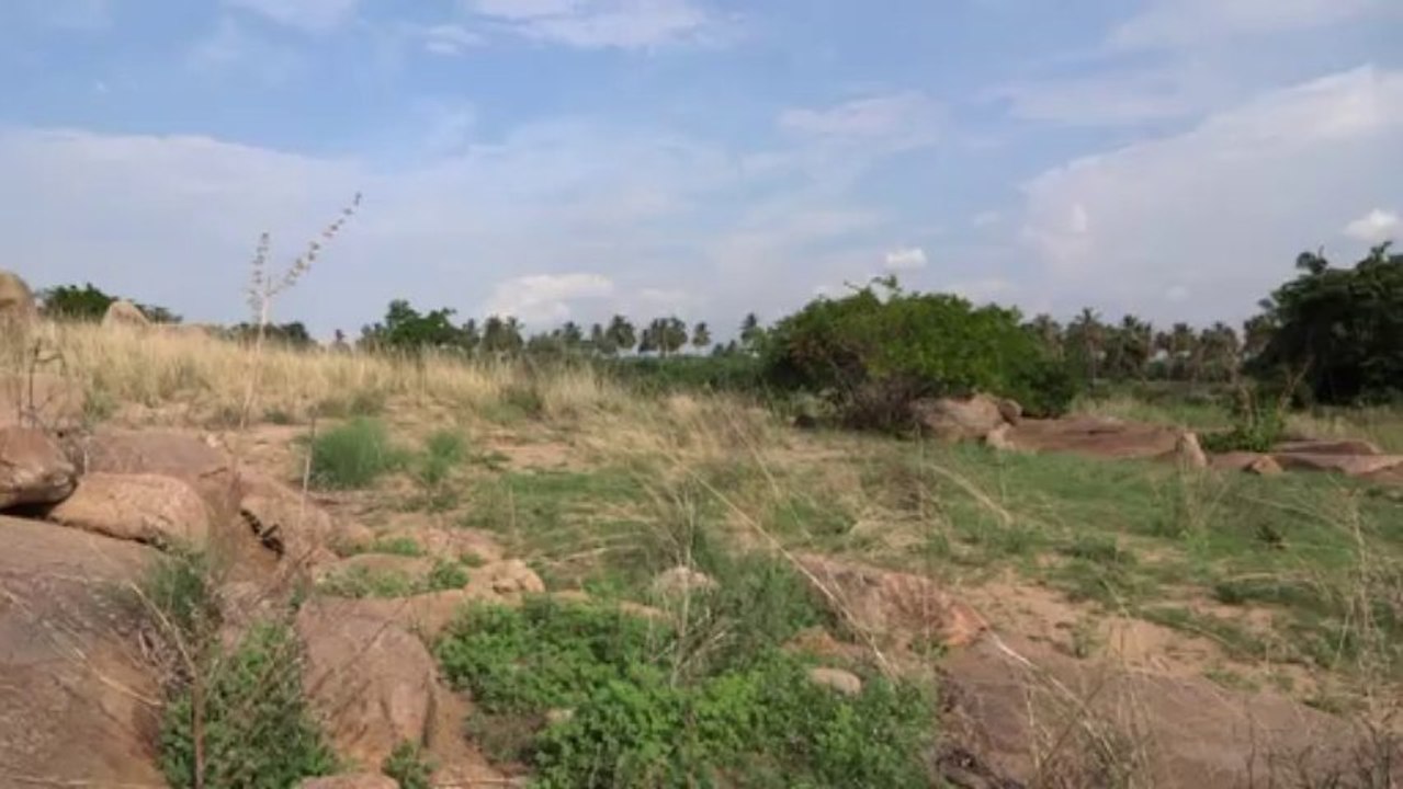 Hampi - en paix