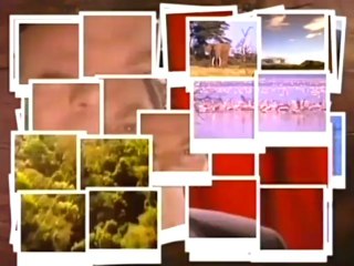 ROBERT PALMER 【MERCY MERCY ME／I WANT YOU】1990