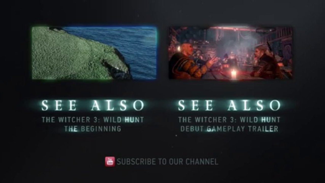 The Witcher 3 Wid Hunt