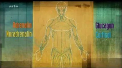 [Vidéo] Les surprenantes vertus du jeûne (partie 4)