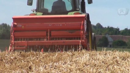 Semis d'un couvert Vesce / Avoine