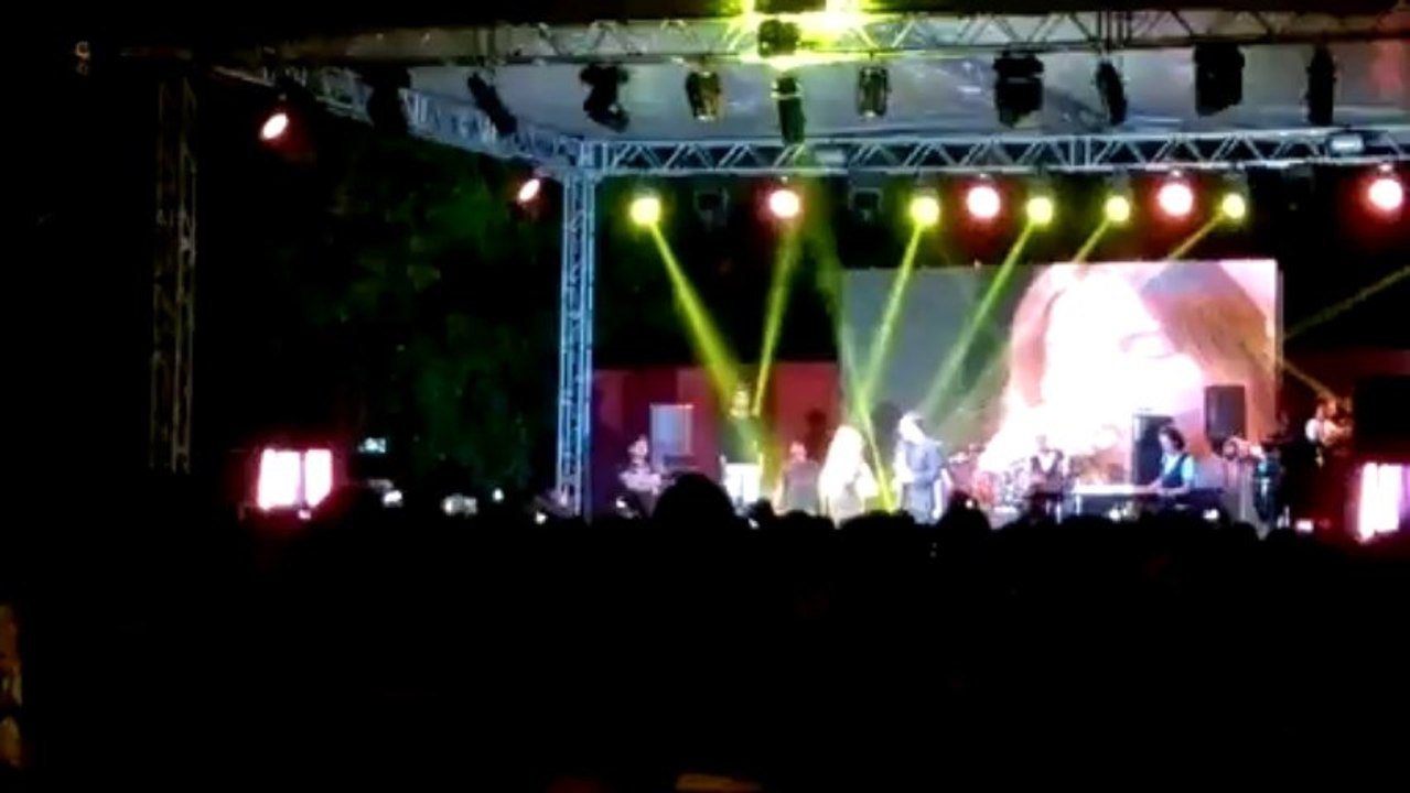 EZO-SARI GELİN-27. Uluslararası Taşköprü Kültür ve Sarımsak Festivali-2013-08-19