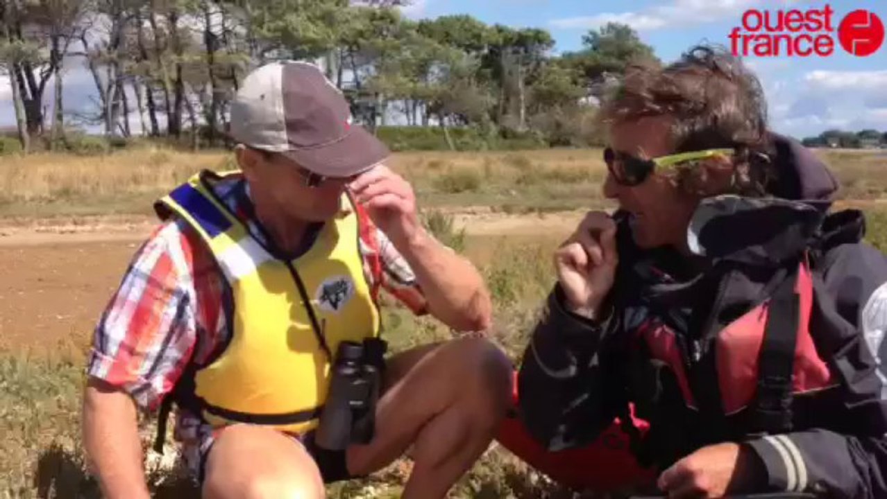 Sortie en kayak - Sortie kayak en petite mer de Gâvres