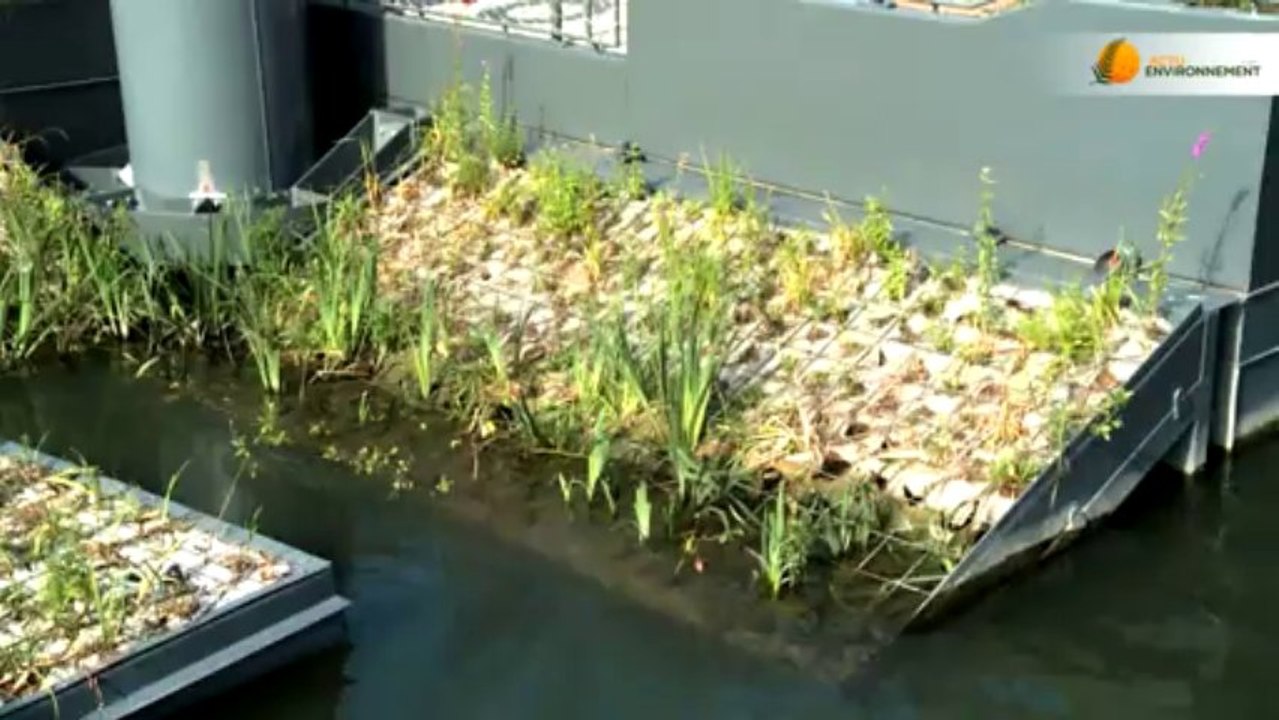 Ouverture des Berges de Seine: bilan positif malgré une circulation difficile