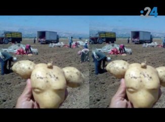 أخوكم الفرضاوي (لحلقة الرابعة): البلتاجي ونادية الجندي