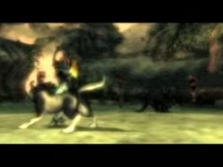 the legend of zelda twilight princess