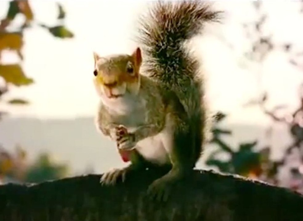 Squirrels (Horror Movie) Teaser Trailer video Dailymotion