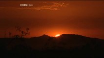 بي بي سي / الذرة : صدام  الجبابرة