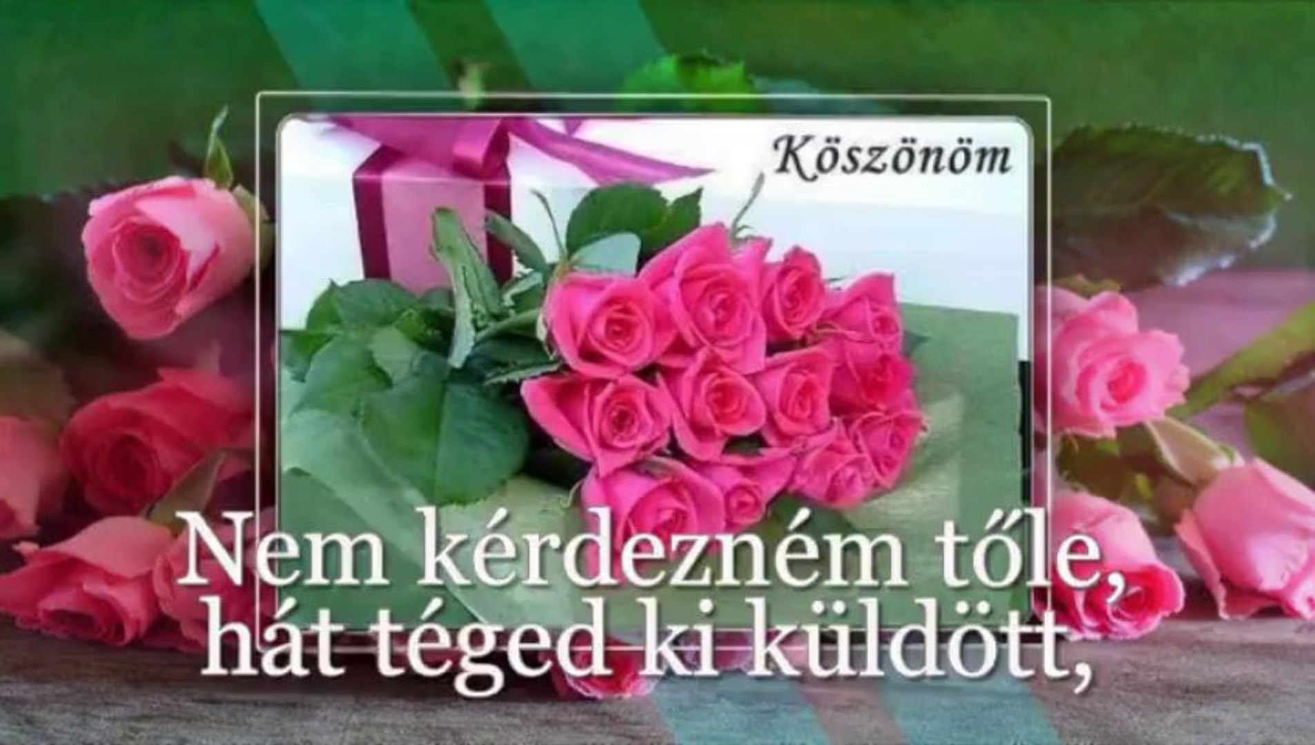 Koncz Zsuzsa - Ha én rózsa volnék