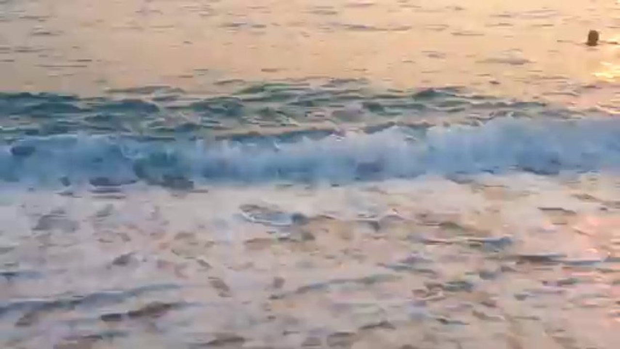 Perdika  Thesprotia - Karavostasi 2013