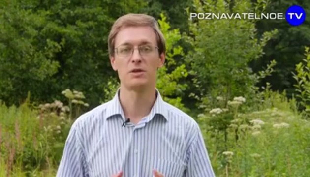 Бизнес на детях в масштабах всей России