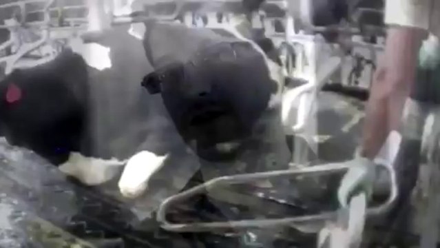 Truth about the American Dream (George Carlin vs L.I.L.T) / One of the best speech ever written.