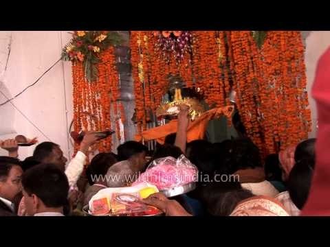 Blessings from the pandit: Gangotri temple