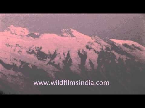 Glimpses of the Mighty Himalayas: From Gangotri