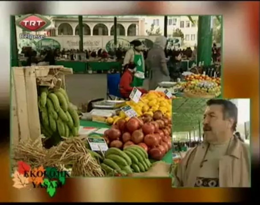 Ekolojik Yaşam