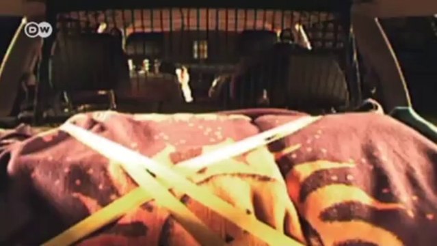 Examine it! Overload at Your Peril | Drive it!