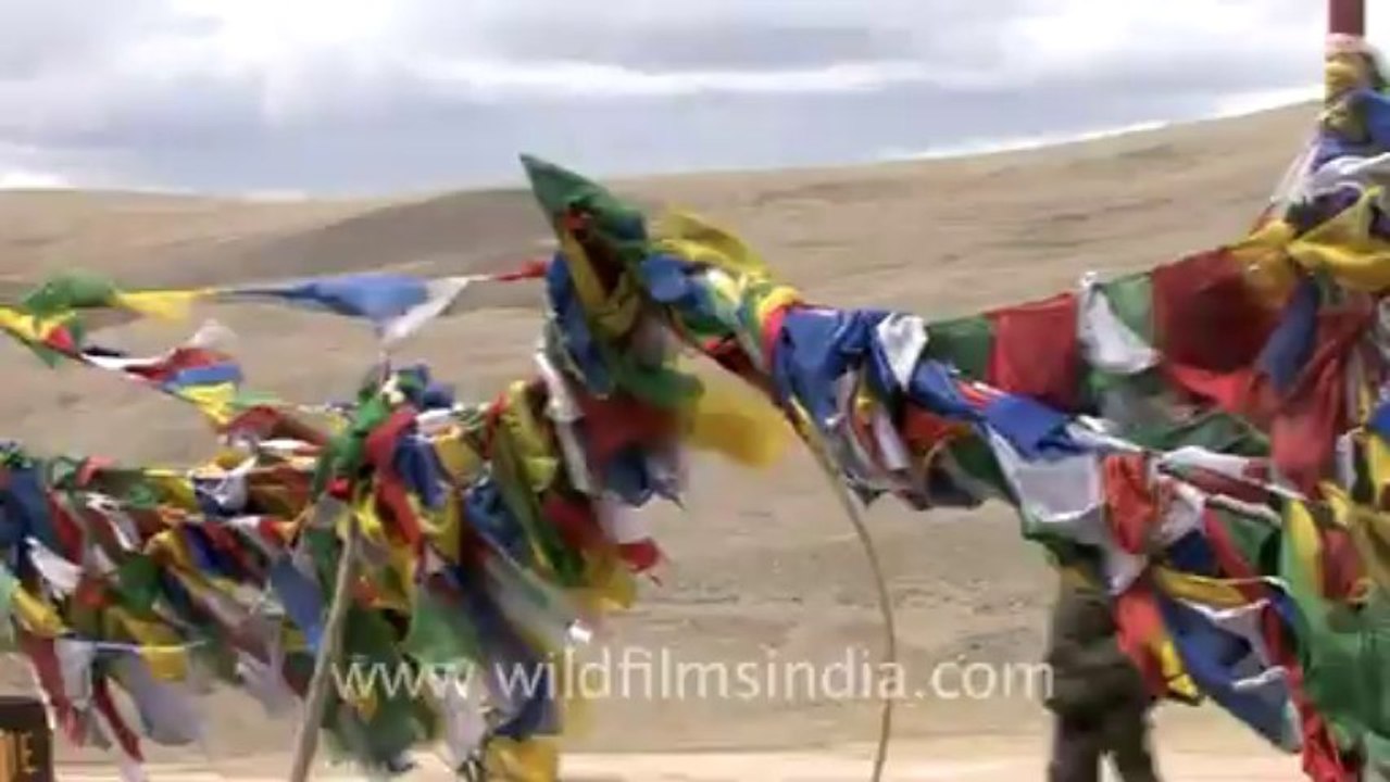 1112.Prayer flags in sikkim