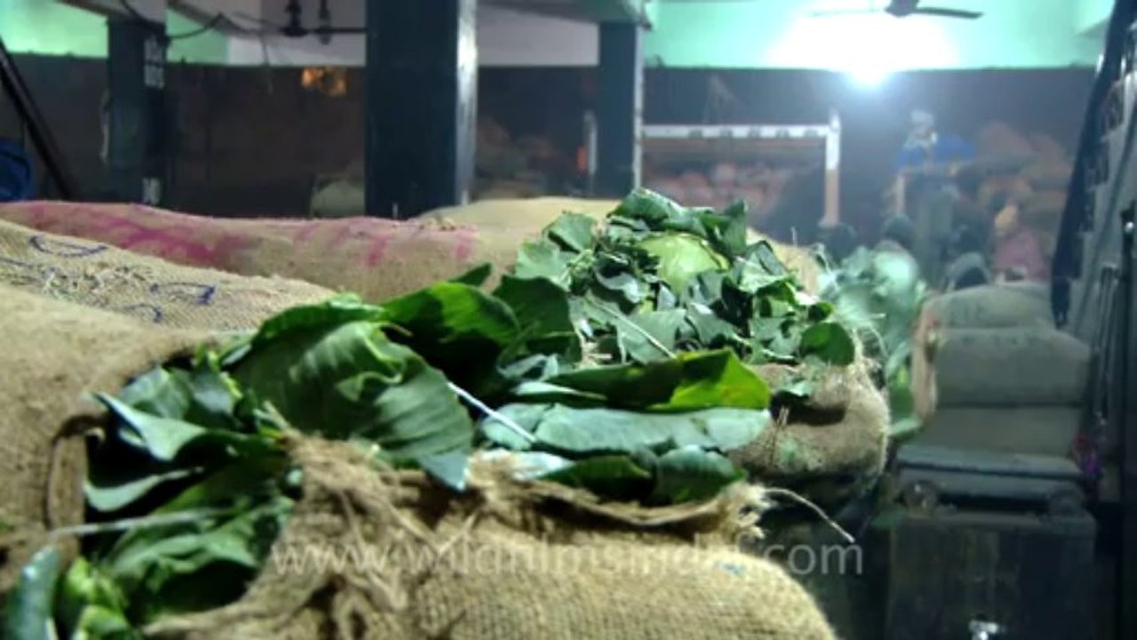 1120.Wholesale Vegetable Market, Azadpur, New Delhi