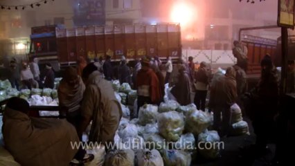 1124.Loading of Vegetables at Azadpur Sabzi Mandir, New Delhi