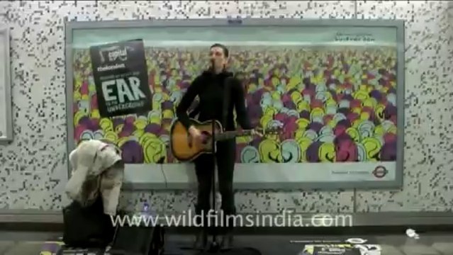 1135.Piccadilly Line interchange, London