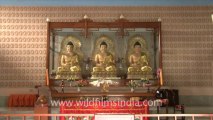 1140.Chinese and Tibetan Monastery in Bodh Gaya
