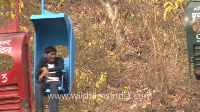 1162.People enjoying trolley ride in Rajgir