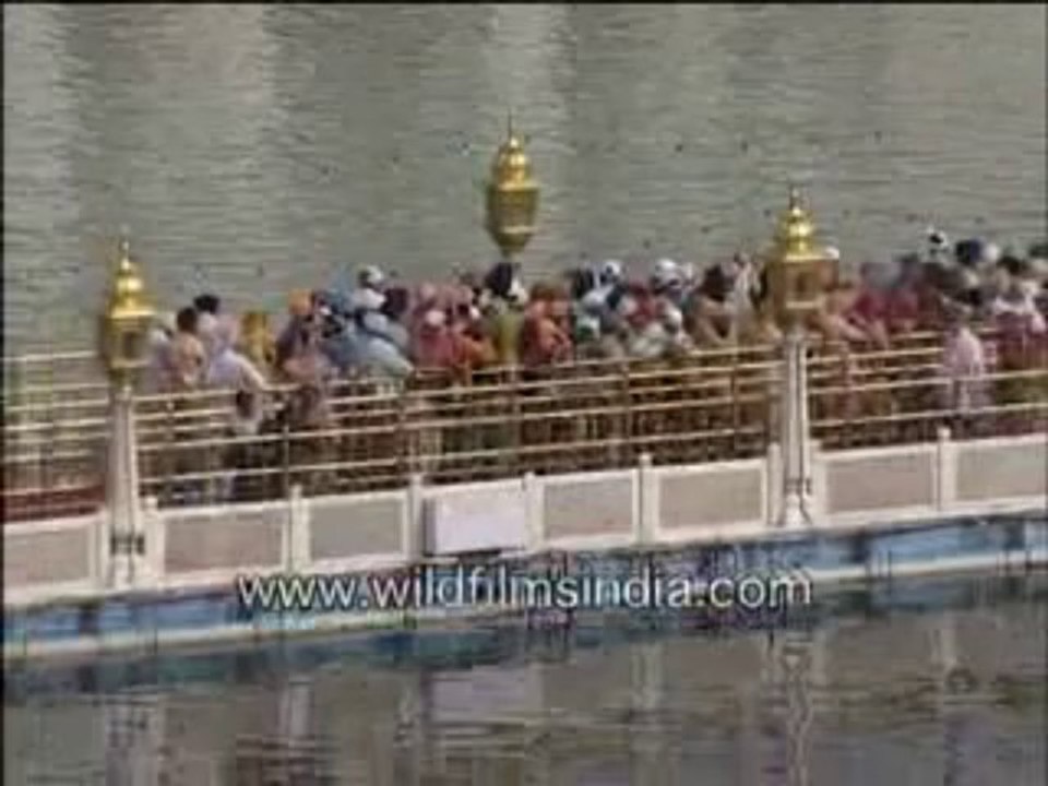 118. Golden temple in Amritsar