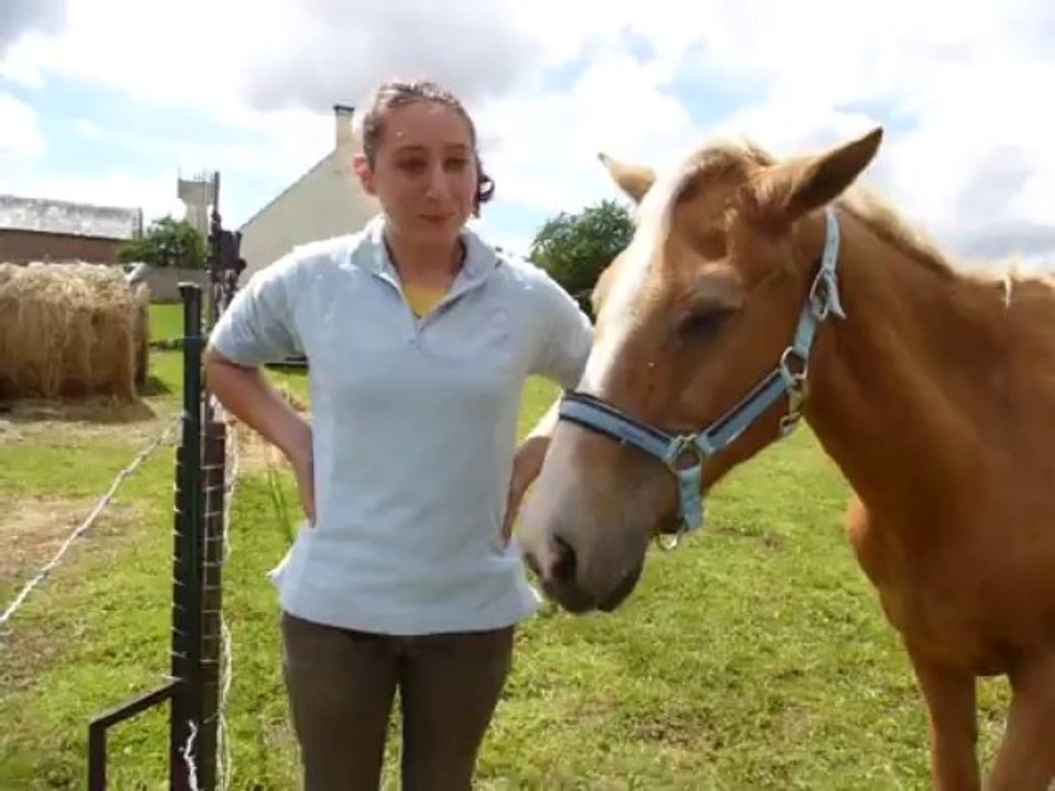 Feuquières : Audrey offre à deux chevaux âgés une retraite tranquille